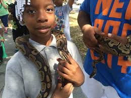 2015 Savannah St. Patrick's Day: Through our eyes