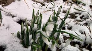 Vremea la 17 feb 2018 in binn: Cum Va Fi Vremea In Februarie 2018 Vesti Alarmante De La Meteorologi