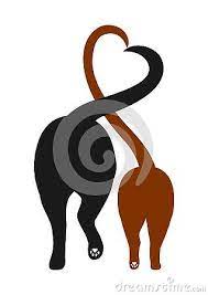 A heart murmur is an abnormal heart sound that resembles a whooshing noise when listening with a stethoscope. Silhouette Of Cat And Dog Making Heart With Their Tails Love And Care Image Dog Illustration Dog Cat Cats