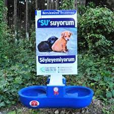 Sokak kedileri için yuva yapma zamanı. Sokak Hayvanlari Icin Yapilabilecek 11 Iyilik Indigo Dergisi