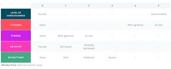 Image result for Croup Score