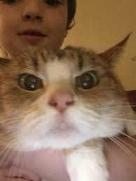 He's just a little baby🥺🥺