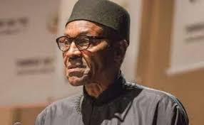 Image result for Professor Femi Williams