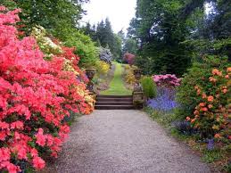 Once established it rarely needs watering outside of natural rainfall. Landscaping In Florida A Season By Season Guide