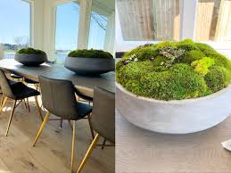 Dress Up Buttercup Dede Raad Houston Fashion Blogger Houston Blog Fashion Blog In 2020 Moss Decor Moss Centerpieces Concrete Bowl