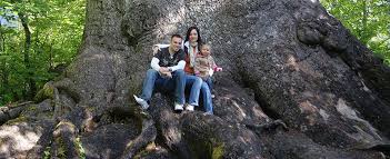 The olympic coast national park. Rain Forest Resort