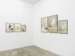 Bildergebnis für Shahin Afrassiabi