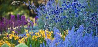 As a result, it will come as no surprise that there are numerous beautiful flowers that bloom in may. Flowers