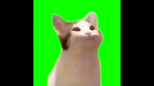 Cat Mouth Popping Noise Meme Green Screen Youtube