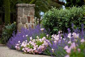 Pin By The Diggers Club On Garden Ideas Inspiration Garden Inspiration Cottage Garden Garden Design