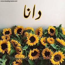 دينا فؤاد معلومات و صور و السيرة الذاتية : Ù…Ø¹Ù†Ù‰ Ø§Ø³Ù… Ø¯Ø§Ù†Ø§ Dana Ù‚Ø§Ù…ÙˆØ³ Ø§Ù„Ø£Ø³Ù…Ø§Ø¡ Ùˆ Ø§Ù„Ù…Ø¹Ø§Ù†ÙŠ