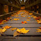 Fall Festival Weekend