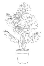 14,170 monstera plant clip art images on gograph. Monstera Deliciosa Drawing Simple Novocom Top