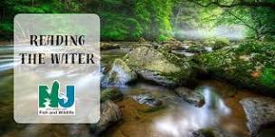 Reading the Water