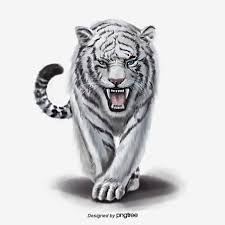 Animal Elements Of Ferocious White Tiger Animal Ferocious Hand Painted Png Transparent Clipart Image And Psd File For Free Download Harimau Putih Binatang Binatang Buas