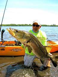 Jerry Mcbride Hauls In A Monster Snook Saltwater Fishing Lures Saltwater Fishing Catching Fish