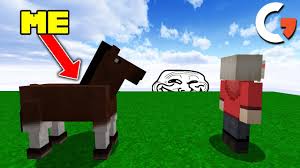 The default random tick speed of minecraft's latest version is 3. Minecraft But I Found A Turtle Hatching Glitch Youtube