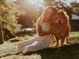 They want to give you signs, but sometimes they can't penetrate the thick wall of grief. 7 Things Your Deceased Pet Would Want You To Know The Times Of India