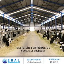 Besicilik Sektorunde Is Sagligi Ve Guvenligi Cil Ciftlikler Iletisim