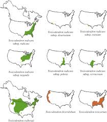 Complete your cactus family farms application today snagajob. Fungal And Animal Associates Of Toxicodendron Spp Anacardiaceae In North America Sciencedirect