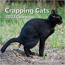 Crapping Cats Calendar 2021 12 Months For Cat Lovers Funny Pooping Pets Gag Joke Gift Women Men Birthday White Elephant Party Exchange Yankee Swap Stocking Stuffer Or Filler Christmas Amazon Co Uk