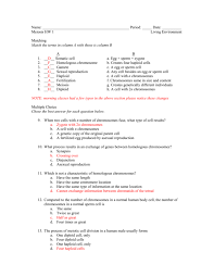 Telophase m = metaphase a = anaphase t = telophase __a_1. Meiosis Hw 1 Answer Key Holding