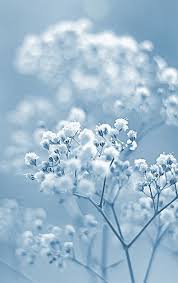 Excellence Blue Aesthetic Pastel Light Blue Aesthetic Blue Aesthetic