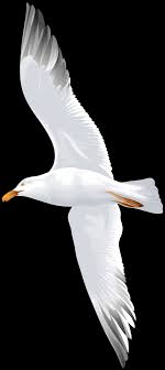 Seagull Flying Png Clip Art Image Gallery Yopriceville High Quality Images And Transparent Png Free Clipart Flying bird gulls flocks, white simple seagull flying bird decorative pattern, flock of bird flying, animals, geometric pattern, fauna png.