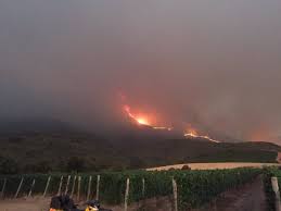 We are a small residence run by a group of very capable and passionate students, with the main goal of ensuring an enabling environment for all our fellow women of fire. Major Fire Poses Threat To Stellenbosch Vineyards The Drinks Business