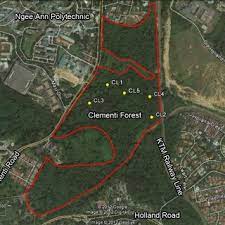 If you took the left (recommended path), look out for an opening on the right towards a small stream after ~200m. Clementi Forest With Respect To Nearby Landmarks Google 2012 The Download Scientific Diagram