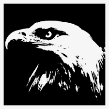 Minimalis hitam putih hewan burung poster besar cetakan. Free Image On Pixabay Gambar Kepala Elang Hitam Putih Png Image Transparent Png Free Download On Seekpng