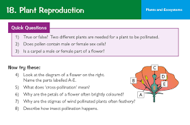 Ks3 new for the activate 1 resource cells unit. New Ks3 Science Revision Question Cards Books Cgp Books Cgp Amazon De Bucher