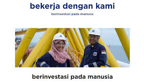 Jurusan ilmu komputer, teknologi informasi atau setara. Loker Fisip Undip