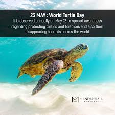 R. Lance Mendenhall (@utahloanguy) • Instagram photos and videos