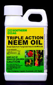 You may either use seed kernels or the leaves of the plant. Triple Action Neem Oil Southern Agricultural Insecticides Inc