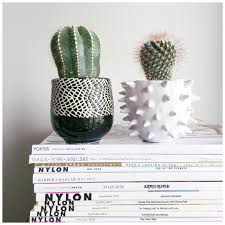 Grafting cactus is basically a straightforward method where you attach a piece or even a whole cactus (called the scion) onto a wounded piece of another and here's how to do it. Tara Adele Tl Makeup Image On Instagram There Used To Be 4 Not A Good Plant Mom Cactuses Cacti Tlhome Cactus Plants Plants Indoor Cactus Plants