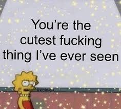 Me Any Dog Cute Love Memes Cute Memes Freaky Memes