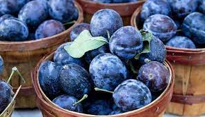 Was sollte man bei der kirschernte beachten, so dass der ertrag. Zwetschgen Saison Wann Sie In Der Schweiz Reif Sind