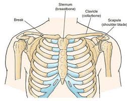 Swelling in the armpit or around the collarbone. Collarbone Pain After Heart Surgery Patient Facts