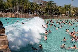 Disney Water Parks Disney World Theme Parks Dorney Park Water Park