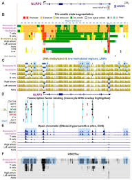 Boutique, design and luxury hotels from 1 to 5 several possible answers. Epigenetics And Expression Of Key Genes Associated With Cardiac Fibrosis Nlrp3 Mmp2 Mmp9 Ccn2 Ctgf And Agt Biorxiv