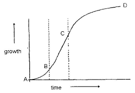 Therefore, theoretical and biophysical descriptions of cellular growth processes focus on mathematical models of cell wall biomechanical responses to tensile stresses, produced by the turgor. Exe