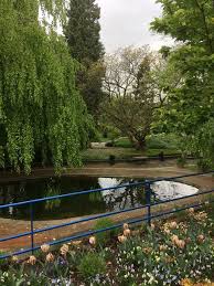 Botanischer garten der stadt neuss. Eifelverein Ratingen 2019 05 08 Fuhrung Durch Den Botanischen Garten In Neuss Wanderung Durch Den Selikumer Park Zum Rhein