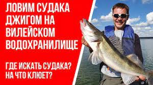 Ребята, вместе с ведущей юлей девончик, отправились ловить леща на фидер на вилейское водохранилище. Lovlya Sudaka Na Dzhig Na Vilejskom Vodohranilishe Youtube