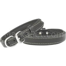 Doggie Comfort Deri Yavru Kopek Tasmasi 1 5x40 Cm Small Fiyati