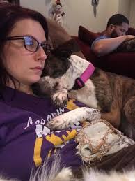 Adopting a beagle in Mandeville, Louisiana