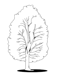 Free Printable Tree Coloring Pages For Kids In 2020 Leaf Coloring Page Shape Coloring Pages Tree Coloring Page