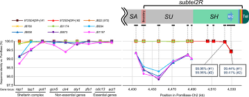 100% safe and virus free. Complete Sequences Of Schizosaccharomyces Pombe Subtelomeres Reveal Multiple Patterns Of Genome Variation Abstract Europe Pmc