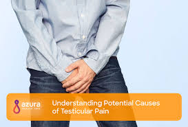 It's important to remember that testicular cancer. Understanding Potential Causes Of Testicular Pain Azura Vascular Care