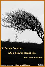 A Good Life Lesson To Reduce Stress Inspirational Quotes Fantastic Quotes How To Avoid Stress